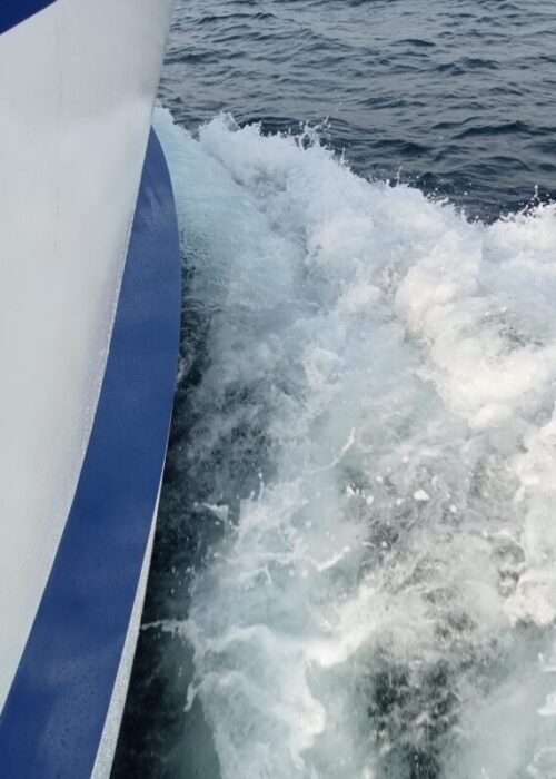 Etrave du dragueur polyvalent P'tit Piak de 11m40x4m40 rejoignant son port d'attache de Granville Etrave du dragueur polyvalent P'tit Piak de 11m40x4m40 rejoignant son port d'attache de Granville